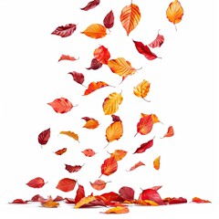 Vibrant autumn leaves falling gracefully against a white background, showcasing nature's beauty.
