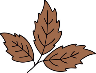 계절 가을 뾰족 나뭇잎 라인드로잉(fall leaves line drawing)