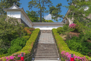 小田原城 常盤木橋から常盤木門を望む