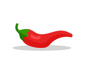 PNG fresh red chili pepper hot spicy vegetable isolated organic paprika cayenne ripe healthy food hand-drawn art digital illustration watercolor product design label sticker icon vector.

