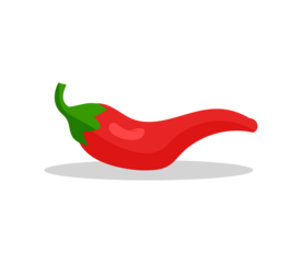 PNG fresh red chili pepper hot spicy vegetable isolated organic paprika cayenne ripe healthy food hand-drawn art digital illustration watercolor product design label sticker icon vector.