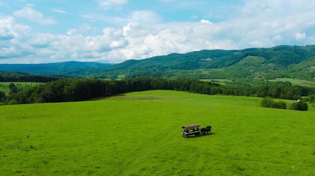 Tourists riding a horse-drawn cart on a green grass field in nature at Sovata city - Romania. Traditional tourist activities in the natural environment