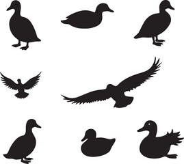 silhouettes of ducks 100% fully editable vector file.