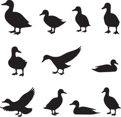 collection of silhouettes of DUCKS