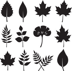 set of autumn leaves 100% fully editable vector file.