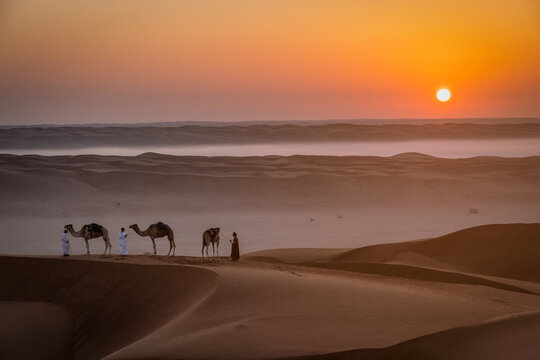 Wahiba Sands, Oman - 12 May 2022: View of camels and their handlers traversing the undulating dunes beneath the warm glow of the setting sun, casting long shadows across the desert landscape.