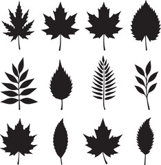 set of autumn leaves 100% fully editable vector file.