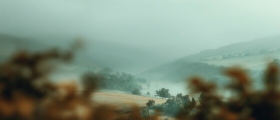 Misty Morning in the Valley: A Serene Landscape