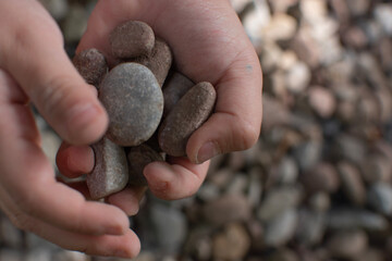 Close up of child’s hands holding natural rocks during outdoor play. Toddler’s hands with collected rocks in forest setting. Macro view