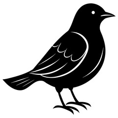 Bird sitting on branch vector illustration in black silhouette style