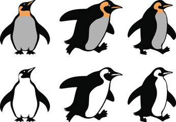 Set of different type of black Emperor penguin vector illustration