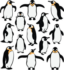 Obraz premium Set of different types of Emperor penguin vector illustration