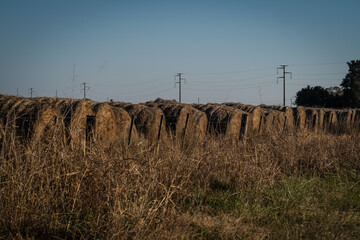 View of hay bales in the field