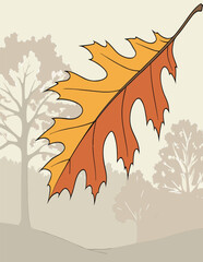 Naklejka premium autumn leaves vector illustration