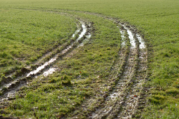 Tire tracks of a tractor in a muddy grass field in the rural countryside