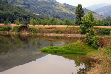 Serene Pond Reflecting Lush Trees and Rolling Hills