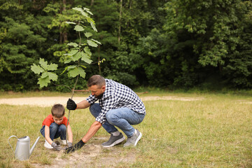 Father and his son planting tree into soil outdoors, space for text