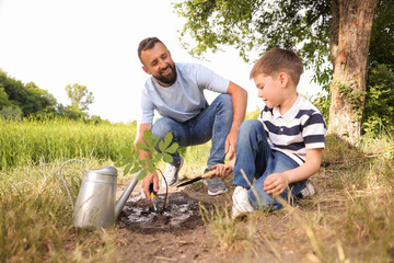 Father and his son planting tree into soil outdoors