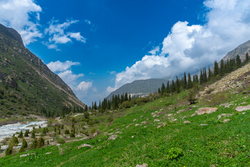 Ala-Archa Park, Lush alpine valley with flowing river, grassy slopes, scattered rocks, tall...