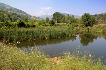 Serene Pond Reflecting Lush Trees and Rolling Hills