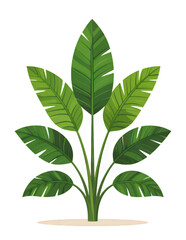 Green Tropical Leaf Plant with Transparent Background, Vector Illustration for Graphic Design