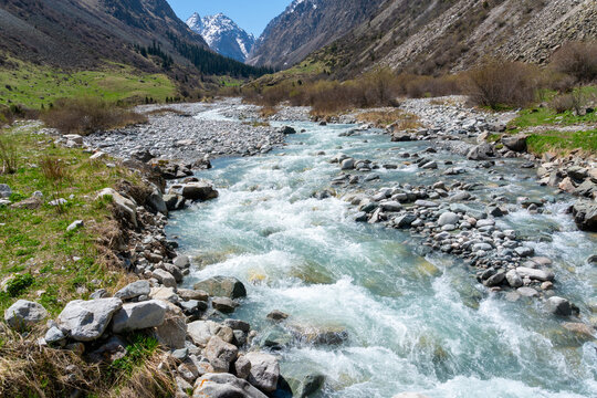 Ala-Archa Park, Rushing Whitewater river winds through rugged mountain landscape bordered by grassy meadows, rocky banks, distant pine forest, and towering snowy summits under clear blue sky - Powered by Adobe