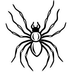 Spider crawling line art vector illustration 