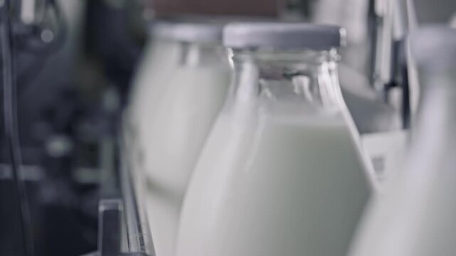 Automated milk bottling process showing glass containers smoothly traveling along factory conveyor, capturing precise industrial food production workflow with pristine hygiene standards
