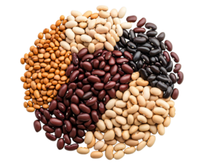 Assortment of colorful dried beans organized circularly creating a visually appealing culinary illustration on transparent background