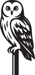 Fototapeta premium Owl silhouette perched black and white, Striking nocturnal bird vector design