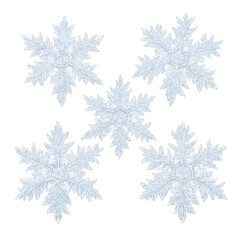 Five delicate sparkling snowflakes arranged in a star pattern isolated on transparent background