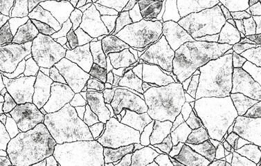 A grayscale abstract image depicting a cracked, textured surface resembling broken stone or earth.  Thin, dark lines trace the cracks, the predominantly gray field.