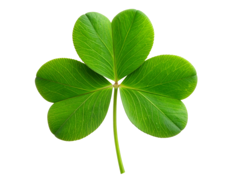 Fresh Green Three-Leaf Clover Plant Isolated on Transparent Background