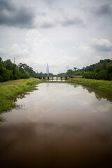 Fototapeta premium Bayou Sauvage, New Orleans, Louisiana