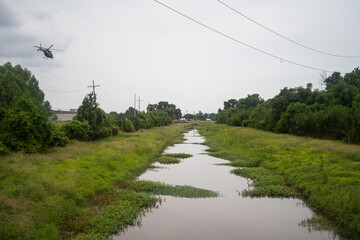 Bayou Sauvage, New Orleans, Louisiana