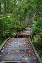 Bayou Sauvage, New Orleans, Louisiana