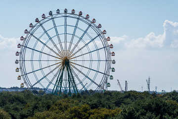Fototapeta premium 晴天の日の生い茂る森と観覧車