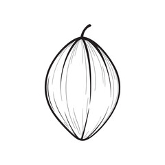 African mango line art unique seed weight loss