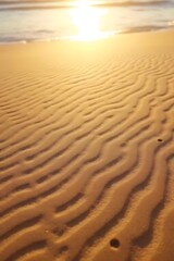 Fototapeta premium sand dunes at sunset