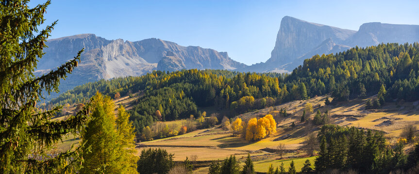 Panoramic autumn view of the Devoluy Massif with Pic de Bure, colorful forest, and mountain scenery. Hautes-Alpes, French Alps, France