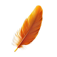 Single orange feather