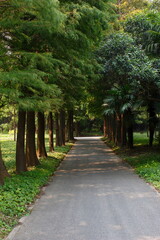 path in the park