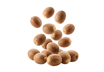 Nutmeg falling isolated on white or transparent background. PNG © Pambudi