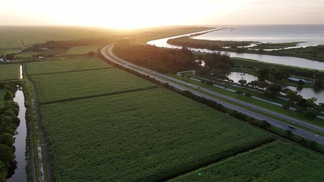 gorgeous sugar cane farms at sunset in the southernmost part of Lake Okeechobee and water management system in Florida