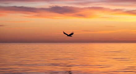A lone bird silhouetted against a vibrant, orange and pink sunset over a calm ocean. The bird's wings are spread in flight, creating a tranquil yet majestic scene.  