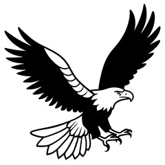 Obraz premium eagle in flight