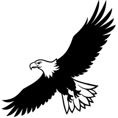 eagle on white background