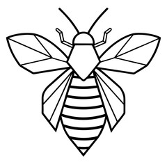 black and white butterfly