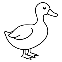 vector illustration of a duck
