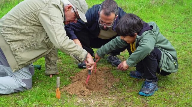 family boys planting a flower on the garden in spring